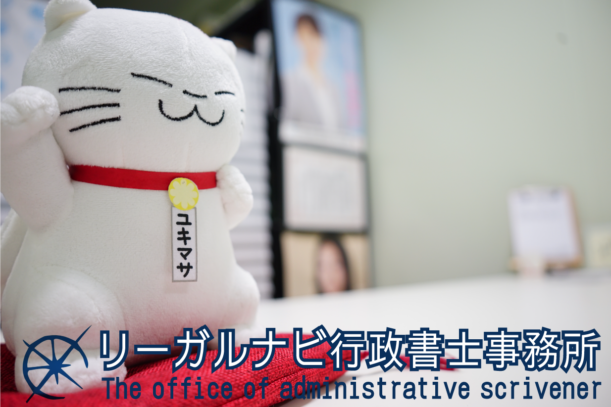掲載用写真